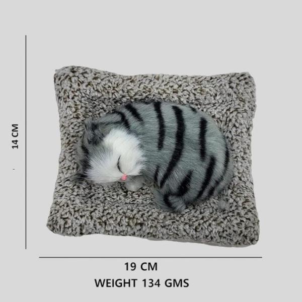 PILLOW CAT