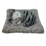 PILLOW CAT