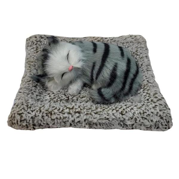 PILLOW CAT