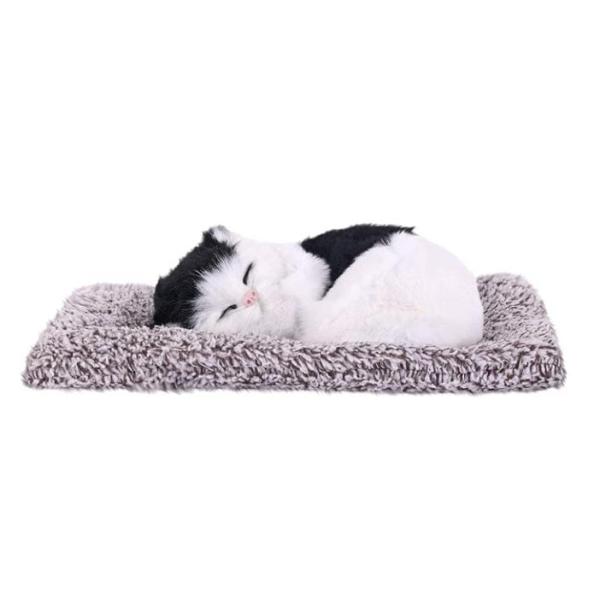 PILLOW CAT
