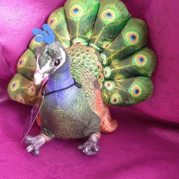 PEACOCK