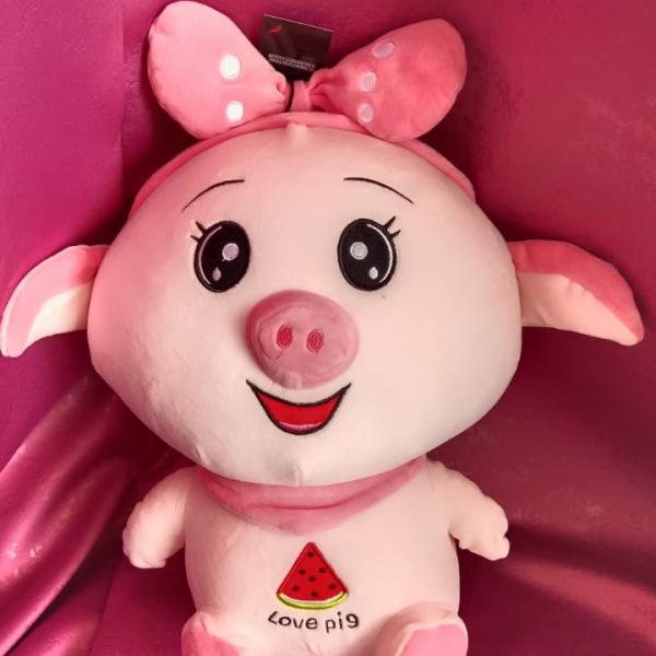 PIG